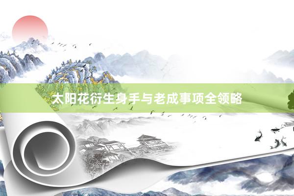太阳花衍生身手与老成事项全领略