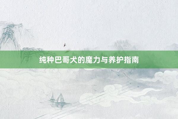 纯种巴哥犬的魔力与养护指南
